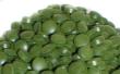 chlorella.jpg