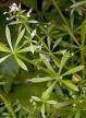 cleavers.jpg